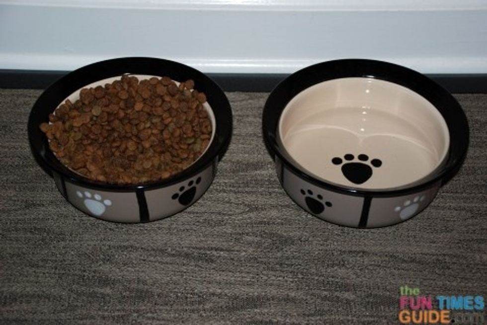 Then the best thing to do is get some potty papers . When you want to take your dogs for a walk you want to use a leash also u need to teach your dog commands . so that it will listen and not run away