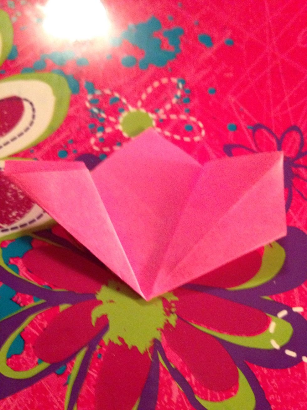 Then there is a little slit above the flaps. You put your pointer finger in one of those flaps. After you do that it will look like this.