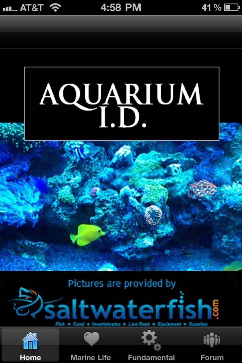 Then using this app from the app market, Aquarium I.D. find info on the fish