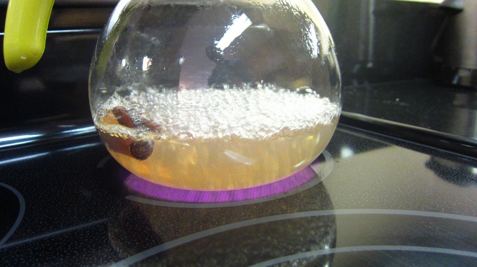 Then Voila! Slowly the cinnamon starts to get release. It looks like a muddy brown. When it starts to boil like this switch off and let sit on the stove top.