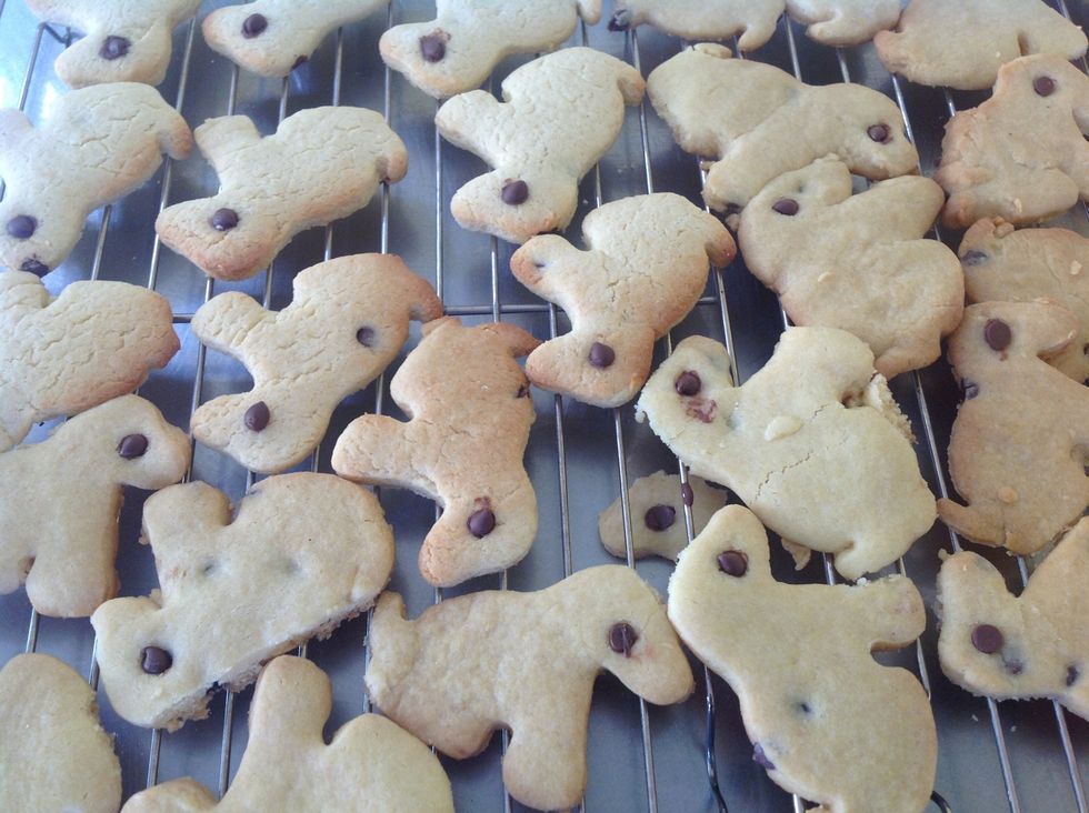 Then we cut them out into dog shaped cookies and put chocolate chip for the eye once we did that we put them in the oven, when we took them out they looked and smelled amazing.