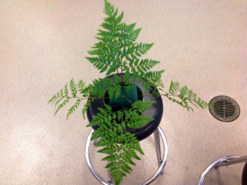 Then you add three pieces of leather leaf coming out of all sides except for the back. Insert leather leaf just below beveled edges. As said before, wipe off the stems.