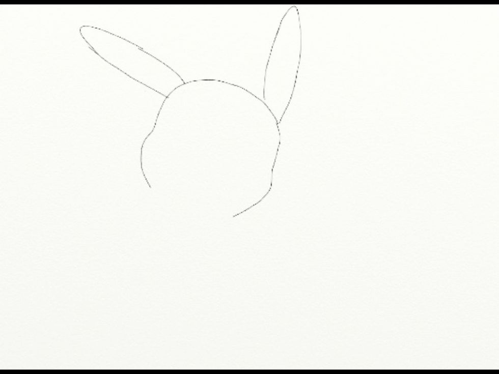 Then you add two medium long ears to each side then right here