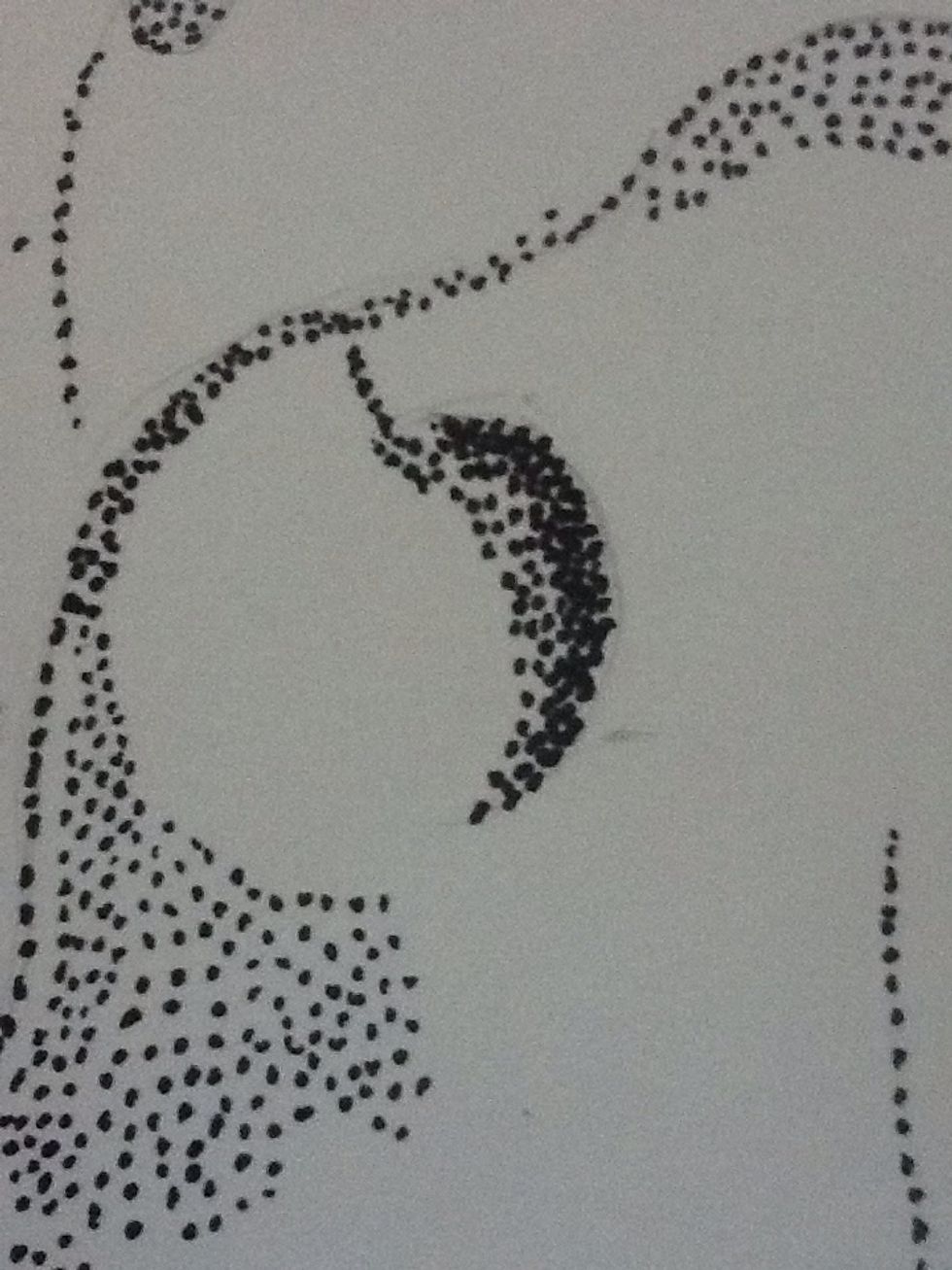 Then you can go back and add more dots to your darkest values. Notice the nostril's dark area.