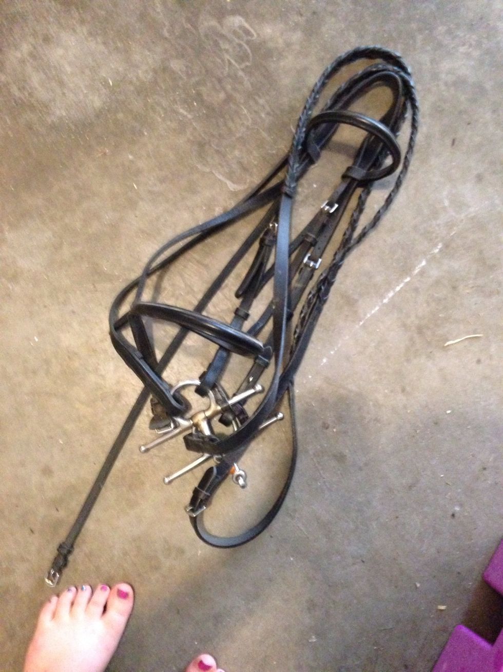 Then you'll need a bridal which what you need to do is put your 2 fingers on the medal part and put that medal part in the horses mouth. And then tighten the 2 straps