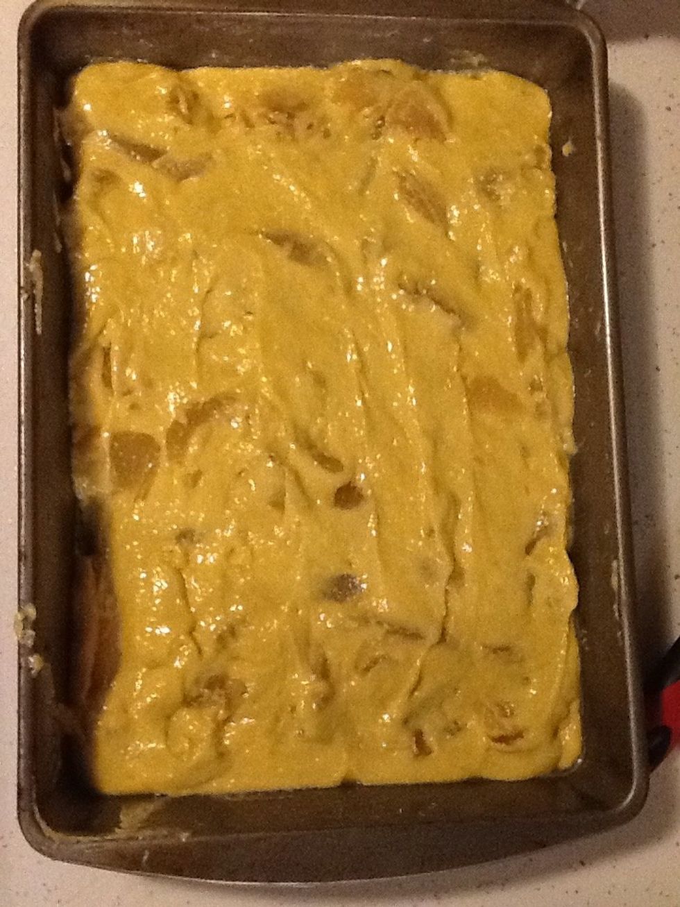 Then you put it in a cake pan