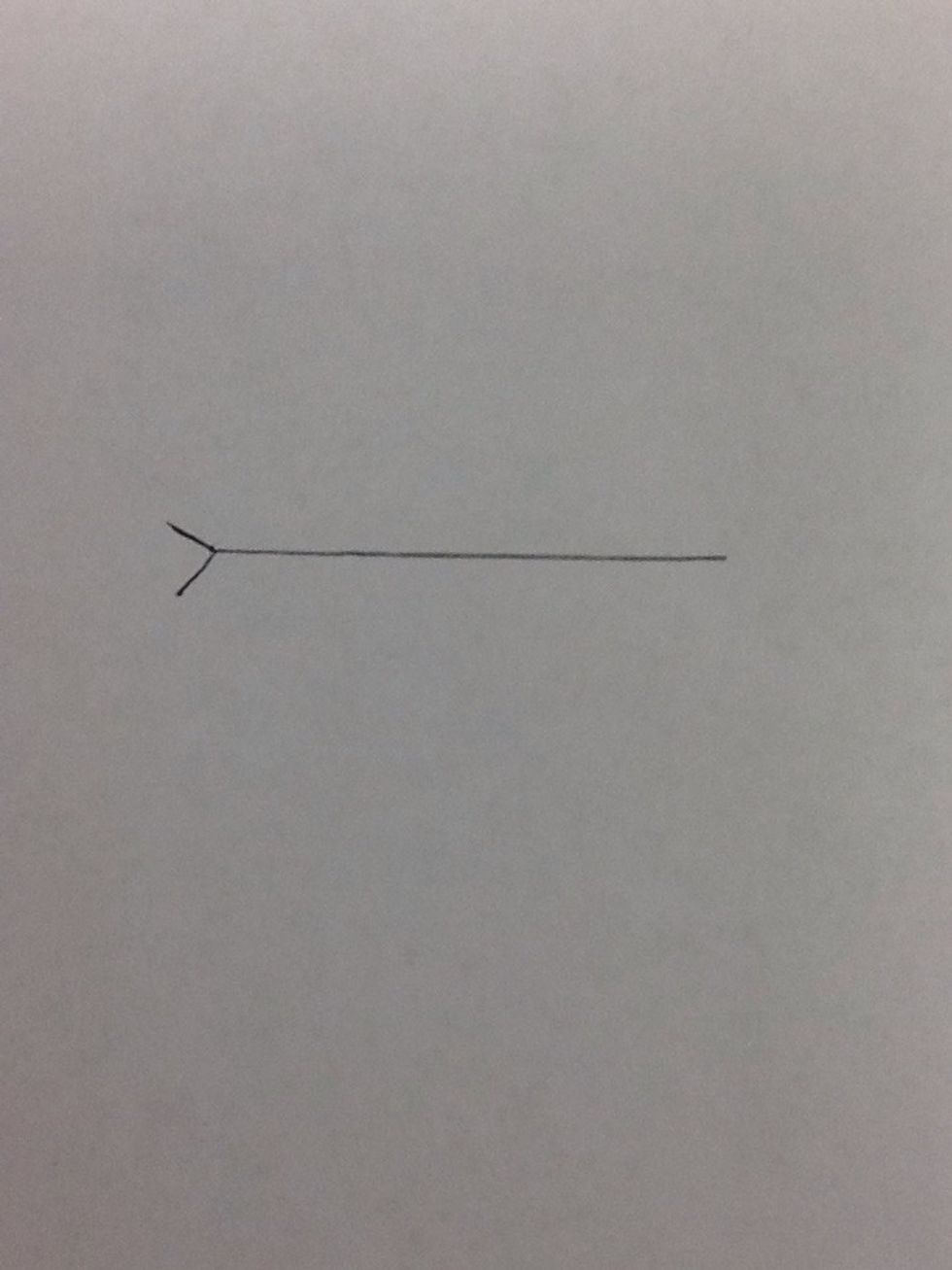 Then you put two little lines on the end of the stick as if you were drawing a long stick man.