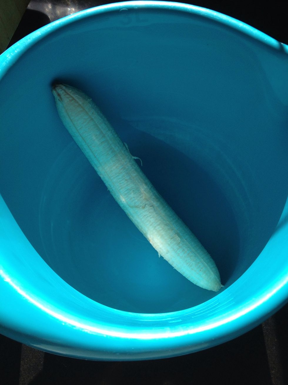 Then you're gonna put the banana into a bowl/a mixer. You want to mix it until it gets extremely smooth. (if your banana is too cold, you may have to heat it up in the microwave for a few seconds)