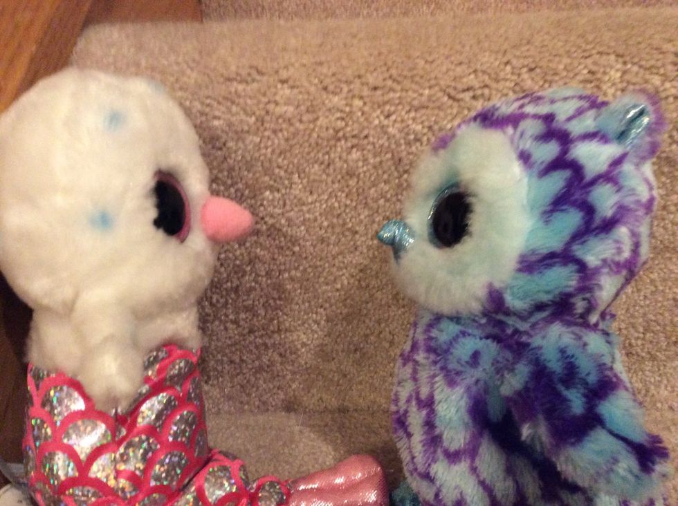 Then, you start a conversation with them. The conversation can be about anything you want.