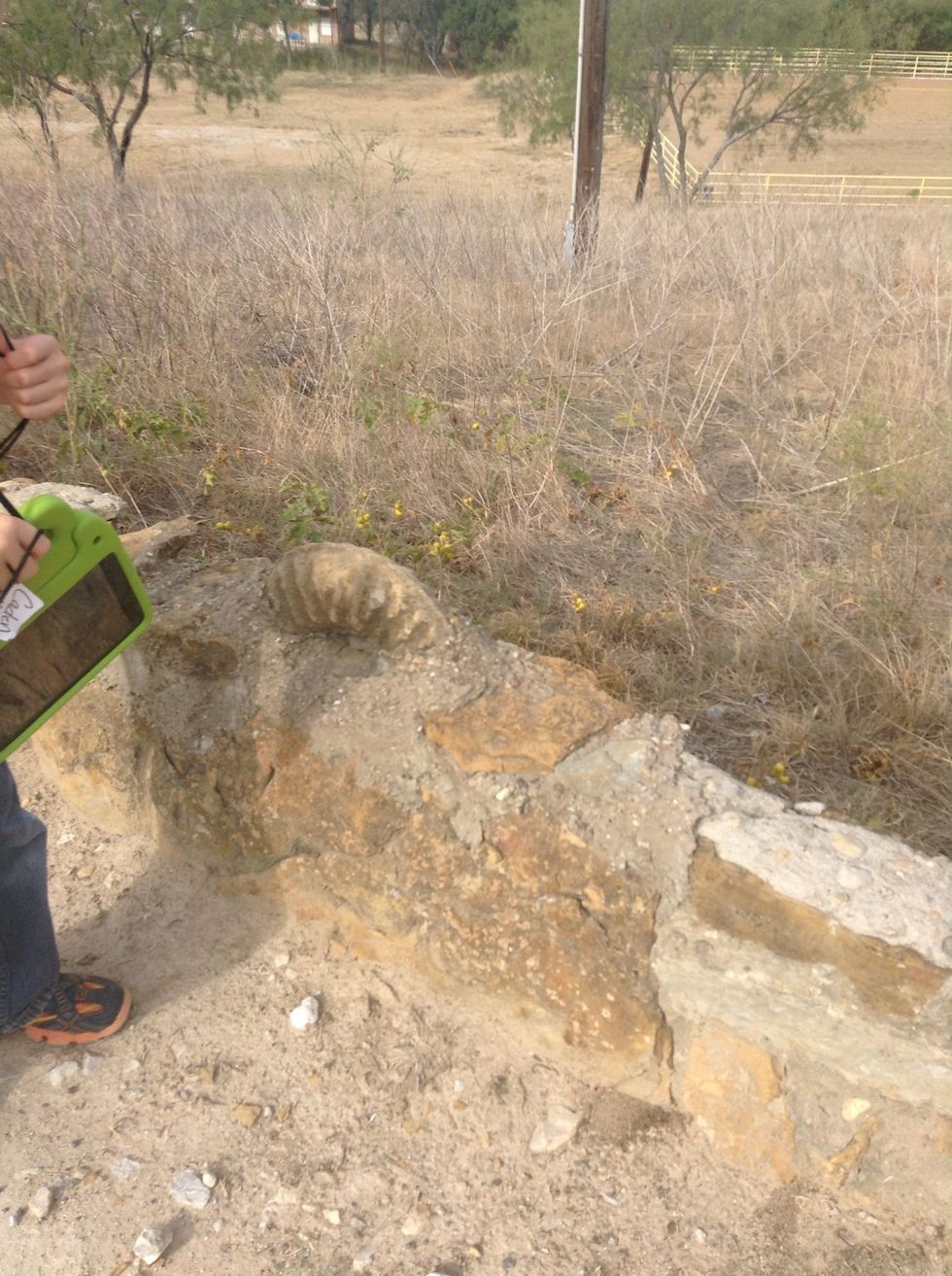 There are fossils I asked the teacher.