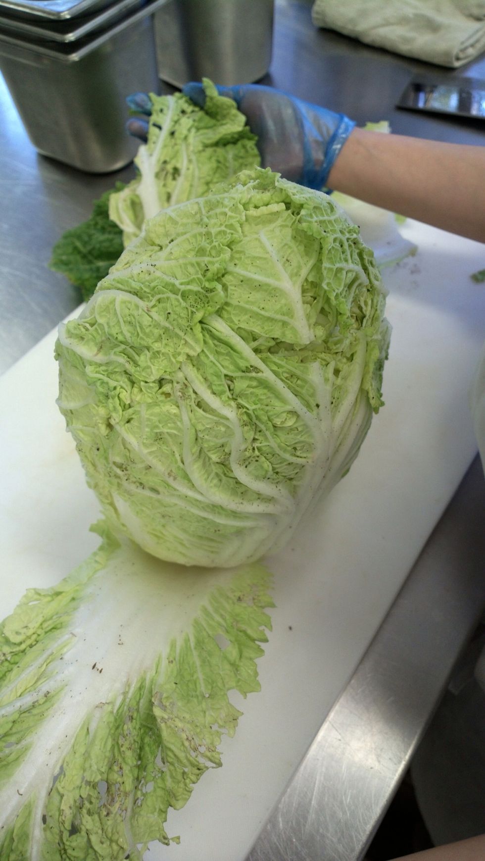 There's 2 ways of preparing the cabbage. Leaving it whole and stuffing the filling or removing the leaves and stuffing them individually. I opt for the easy way. Whole cabbage = sandy teeth.