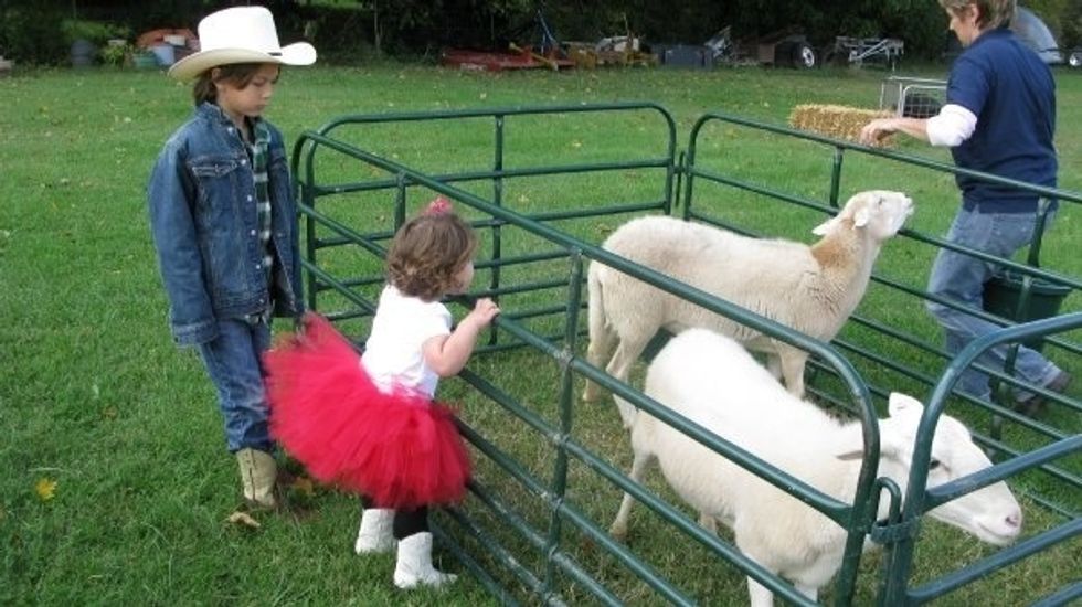 There were goats, cows, pigs and many more for the kids to feed and pet.