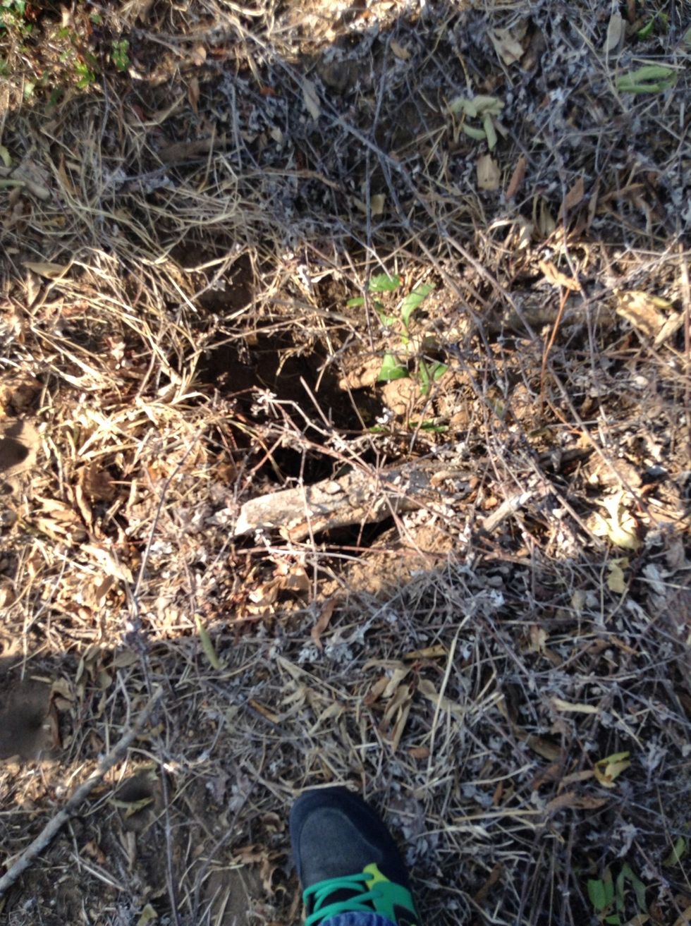 There where ditches and holes at the olc.