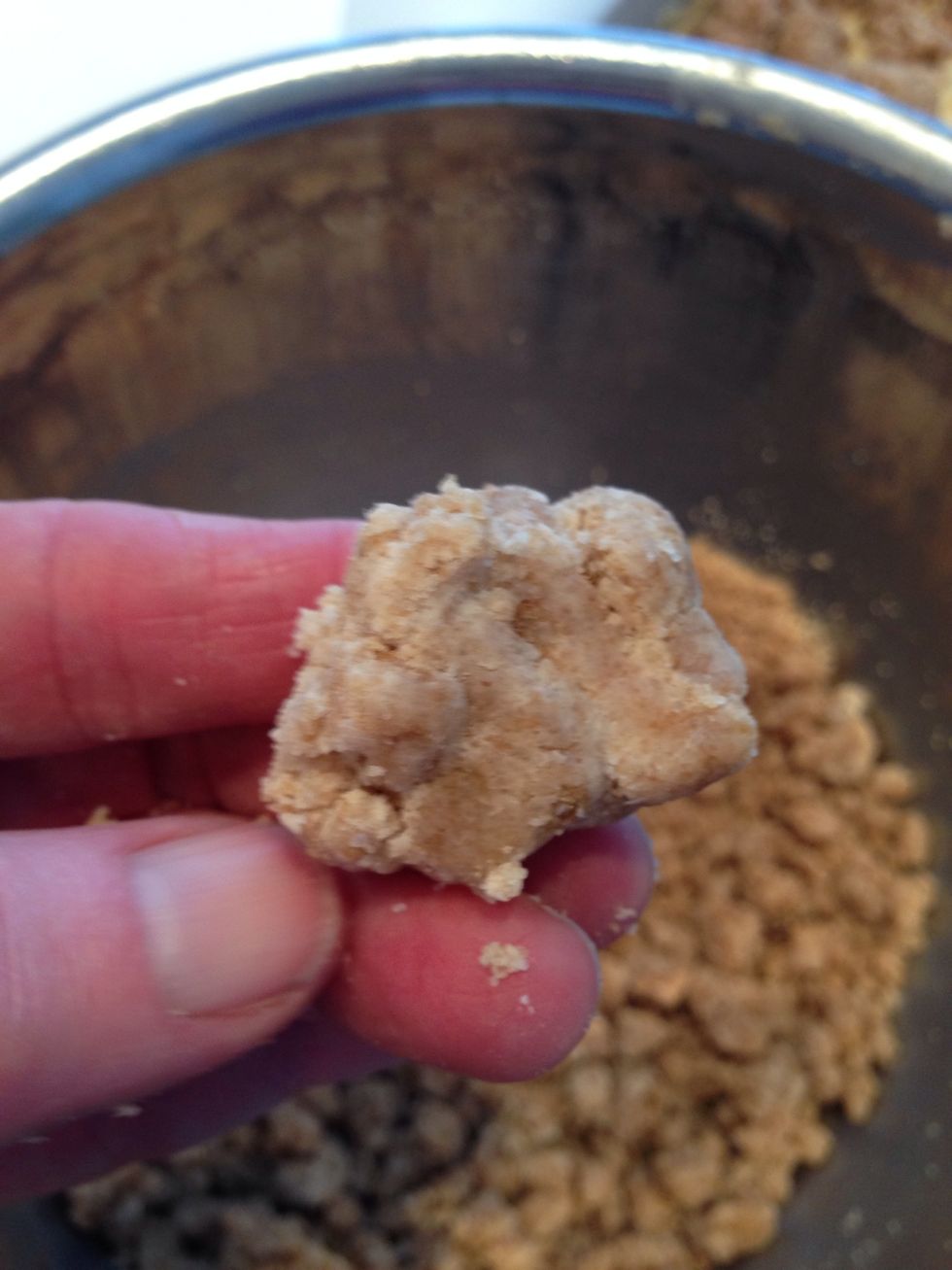 There will be smaller crumbs at the bottom of the bowl. Squish them into big crumbs and cover that thing.
