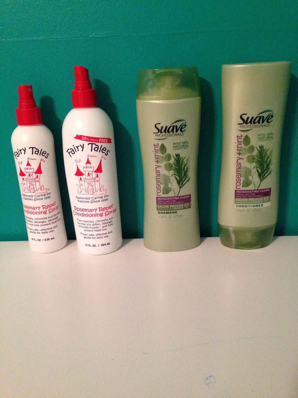 These are all of the things that can be used to \u201dprevent" lice.