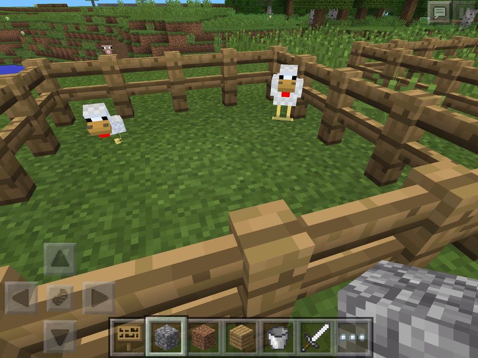 These are Chickens! Or ducks...it's hard to tell! Either way, they will follow you if you hold wheat seeds.