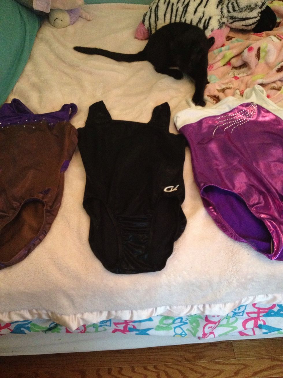 These are competition leos. These are usually more sparkly and decorated. Custom competition leotards are usually around $60 - $100. (These aren't custom)