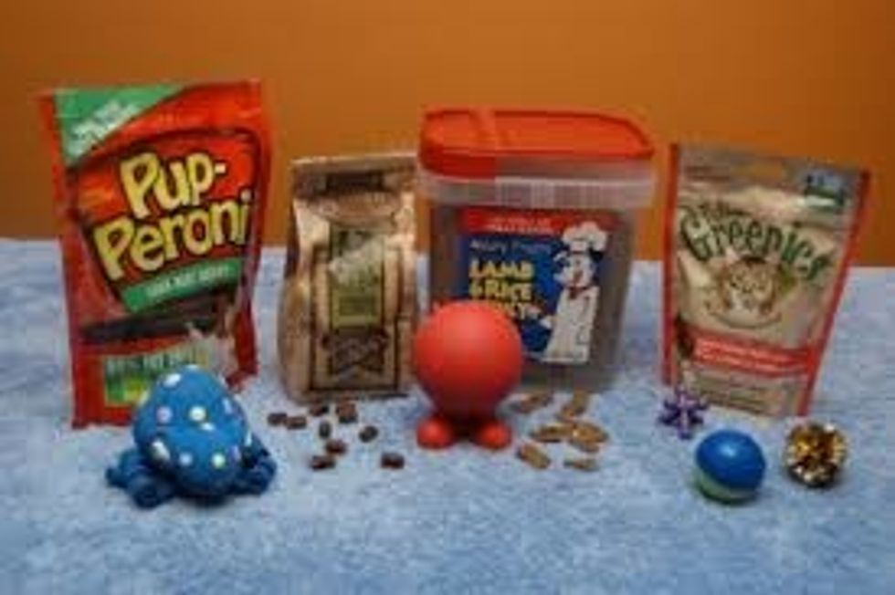 these are dog treats and toys for any type of dog