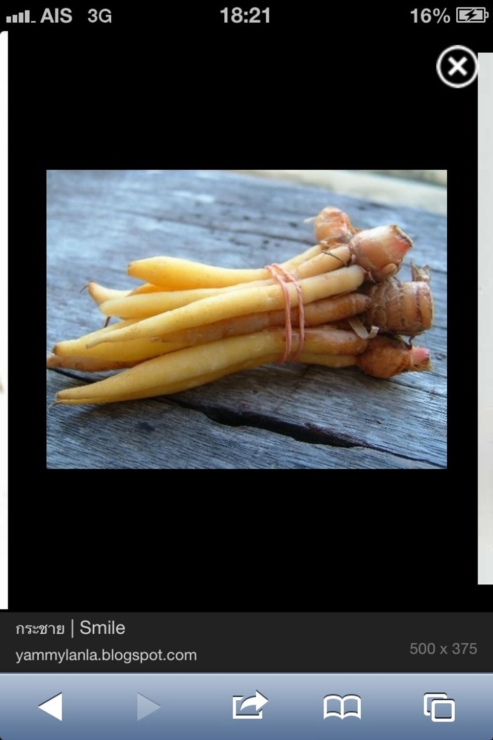 These are fingerroots. Sometimes are mistaken for lesser galangal. They're not the same. In Thai we call it Gra-shy. If u cant find these u can use young Chinese ginger.