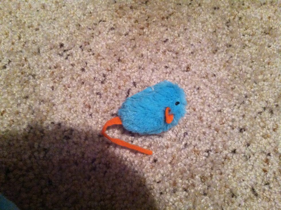 These are good for throwing at your cat to make them pounce on it.