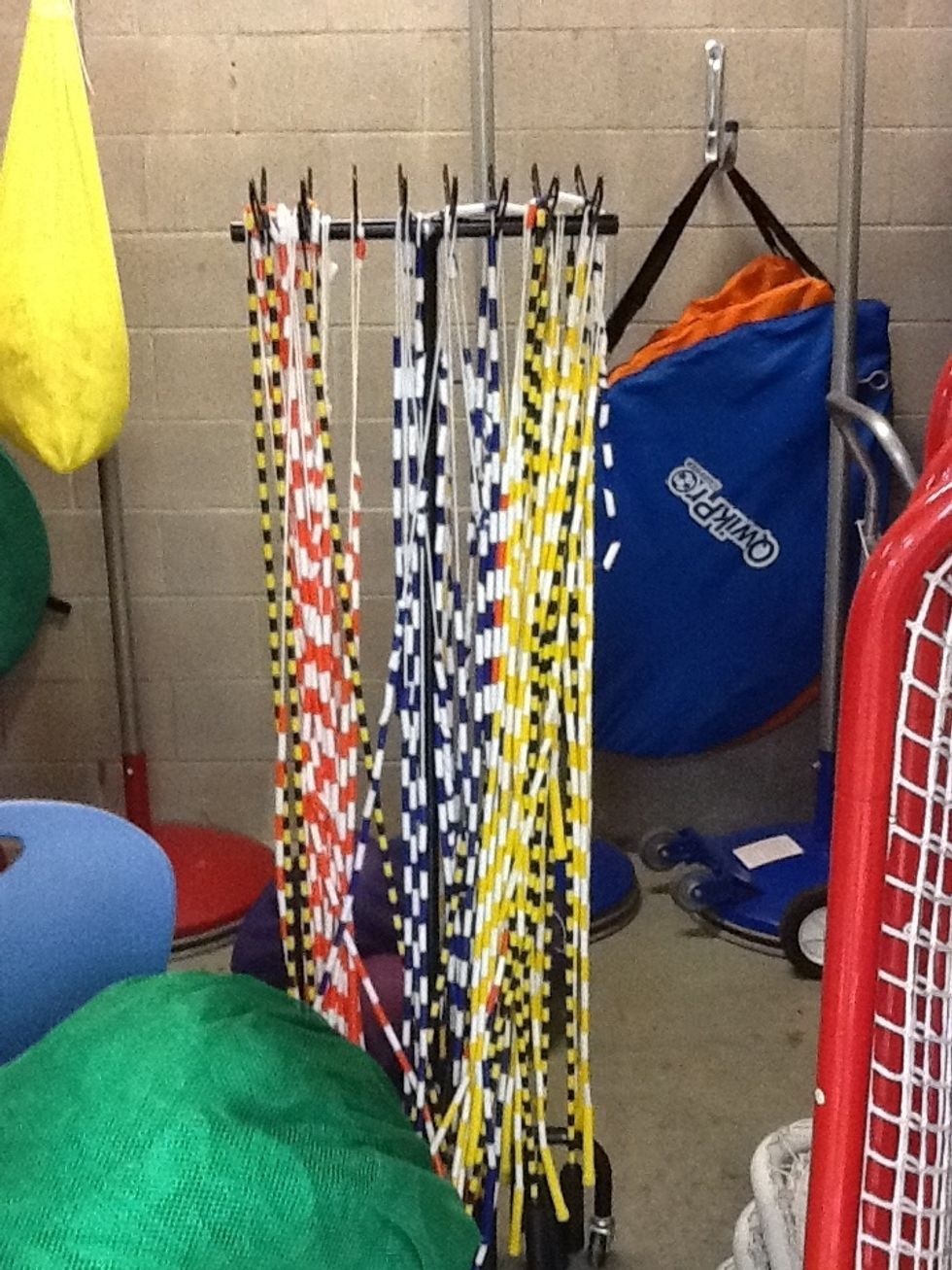 These are jump ropes for gym class.