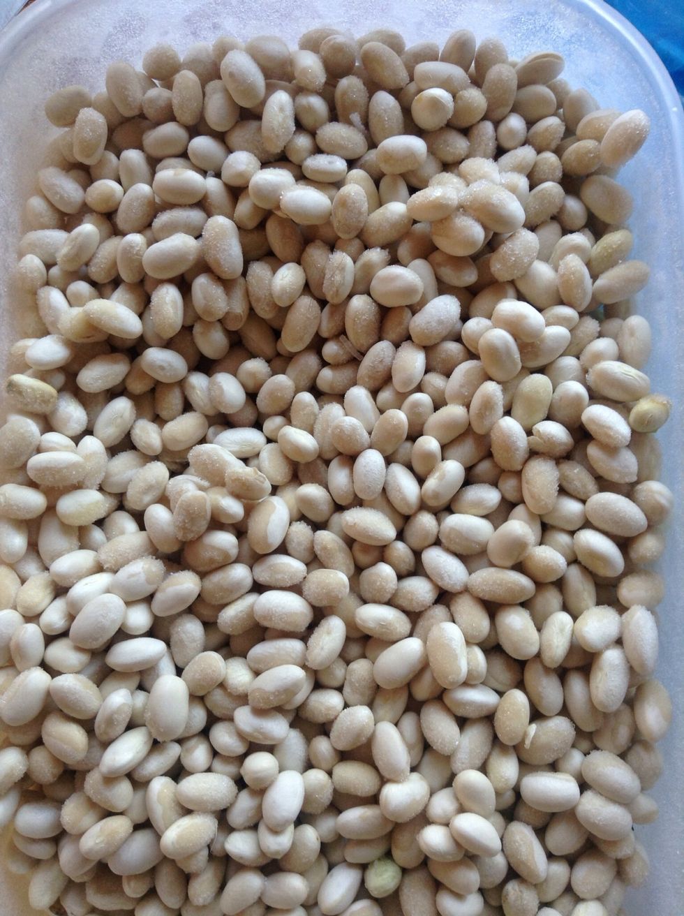 these are one type of bean white bean