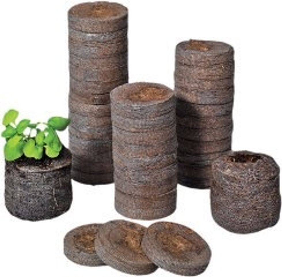 These are peat pellets. Place them into the mini greenhouse or the clear plastic tub.
