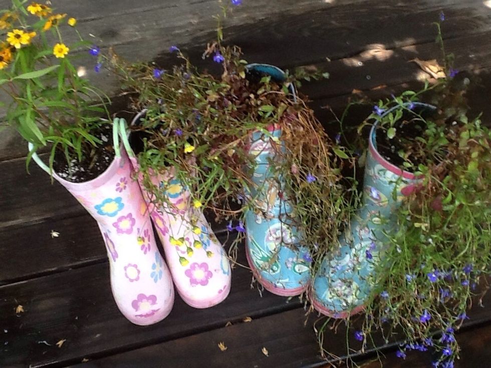 These are small children boots that tuck into garden nooks but provide a place for annual colors.  Some have handles which makes it easy to move them around.  I only paid 3-4 dollars per pair..