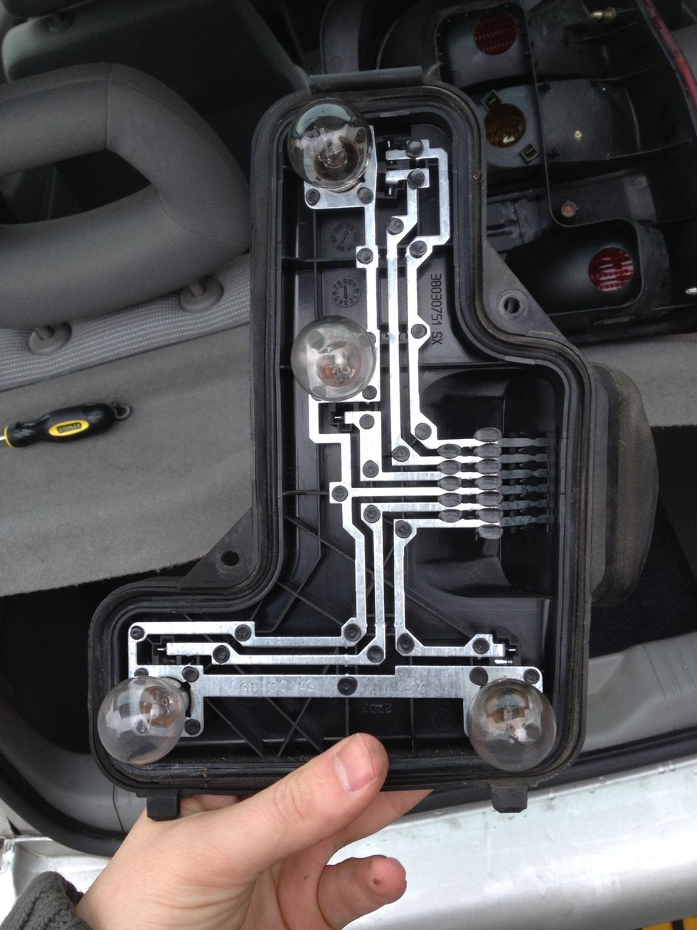 These are the bulbs.