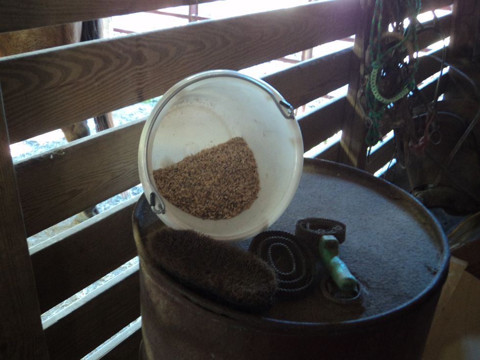 These are the grain or oats, a brush, and curry combs. The currys are used for getting mud off a horses coat.