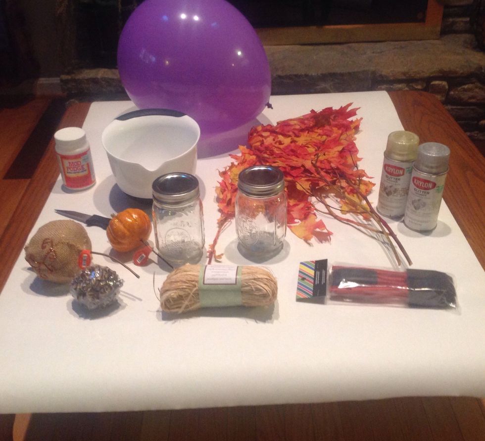 These are the materials needed for this project.