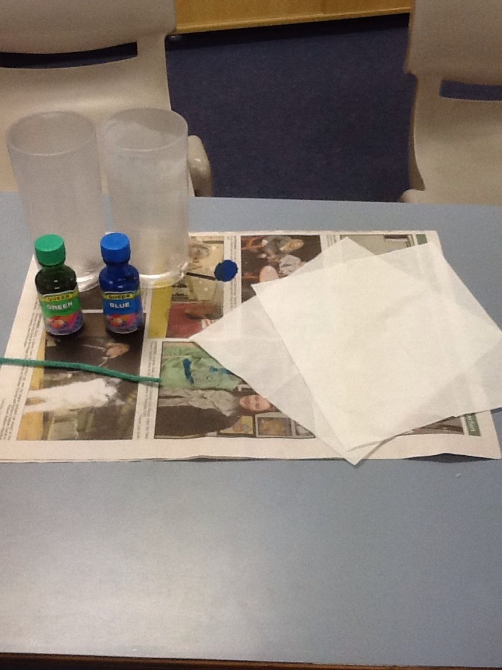 These are the materials needed to complete the experiment.