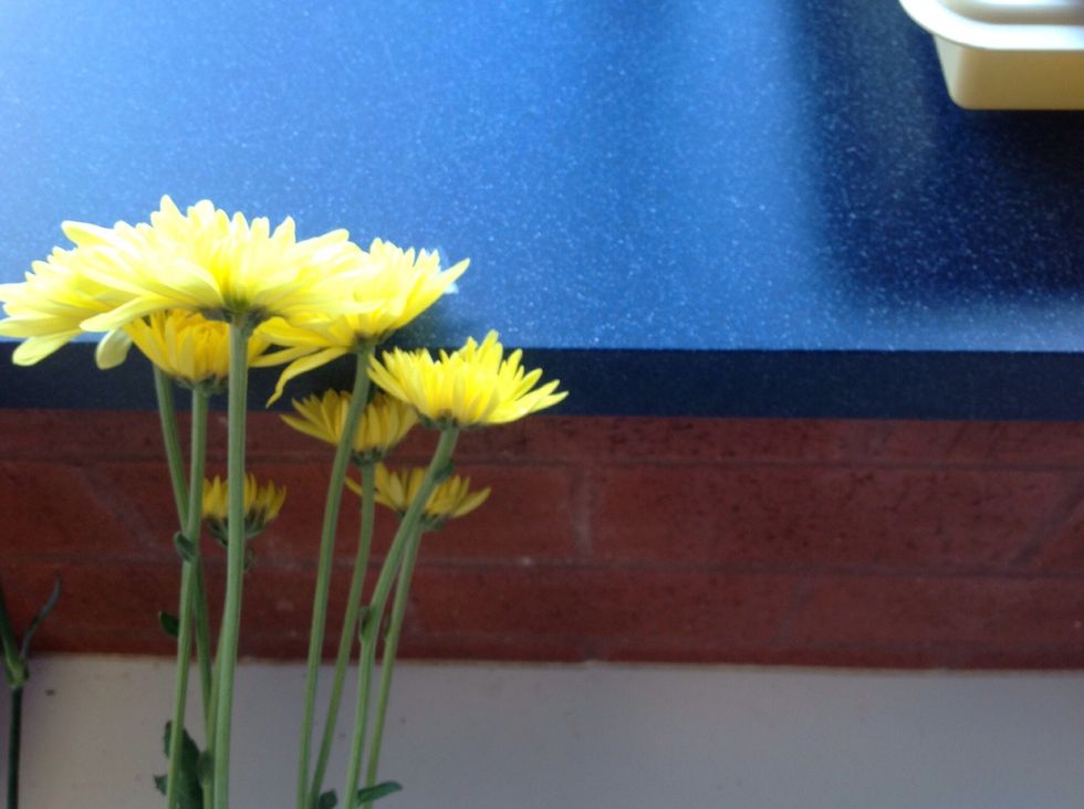 These are the mums before they are added to the vase