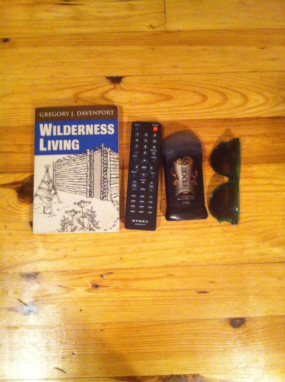 These are the supplies the human must use in order to save the wall. 1: wilderness survival book in case of emergency. 2:TV remote to turn the tv off. 3: deodorant for smelly armpits.4: Safety Glasses