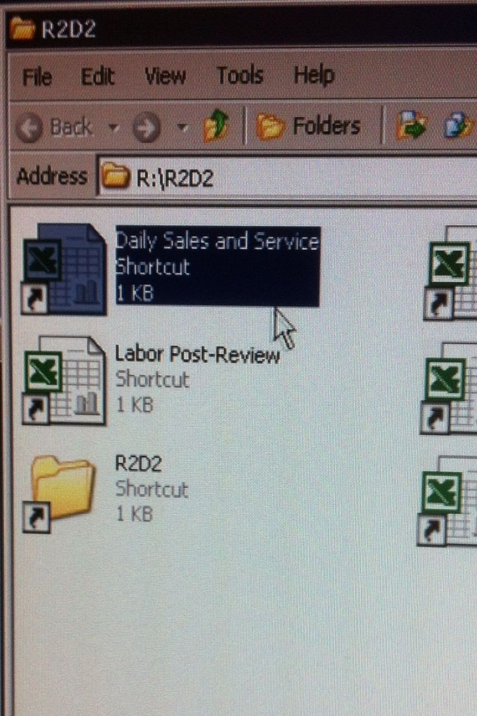 These are your R2D2 reports. Click on the Daily Sales and Service (DSS) file to open it.
