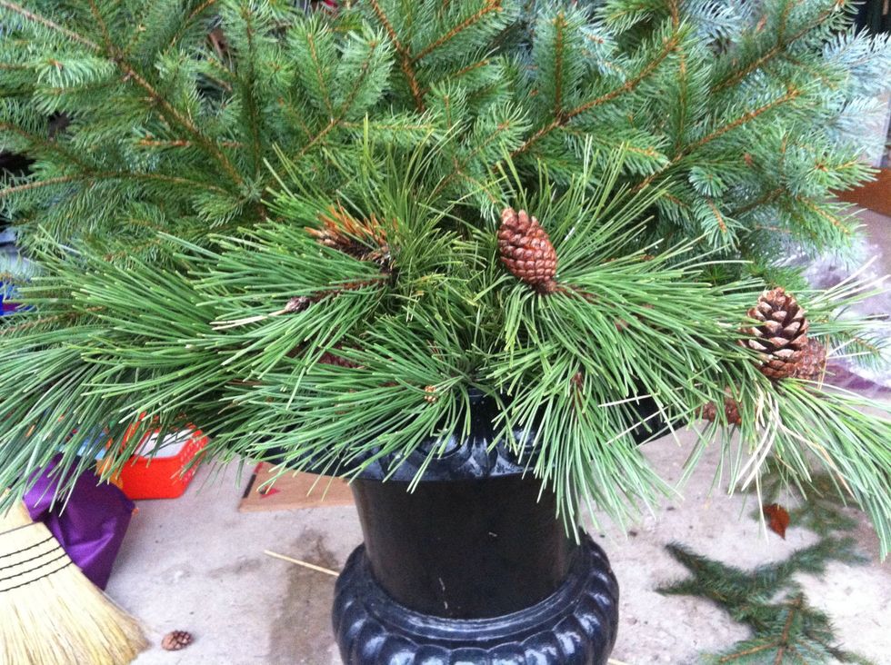 These pine boughs had pine cones still on them. So pretty!