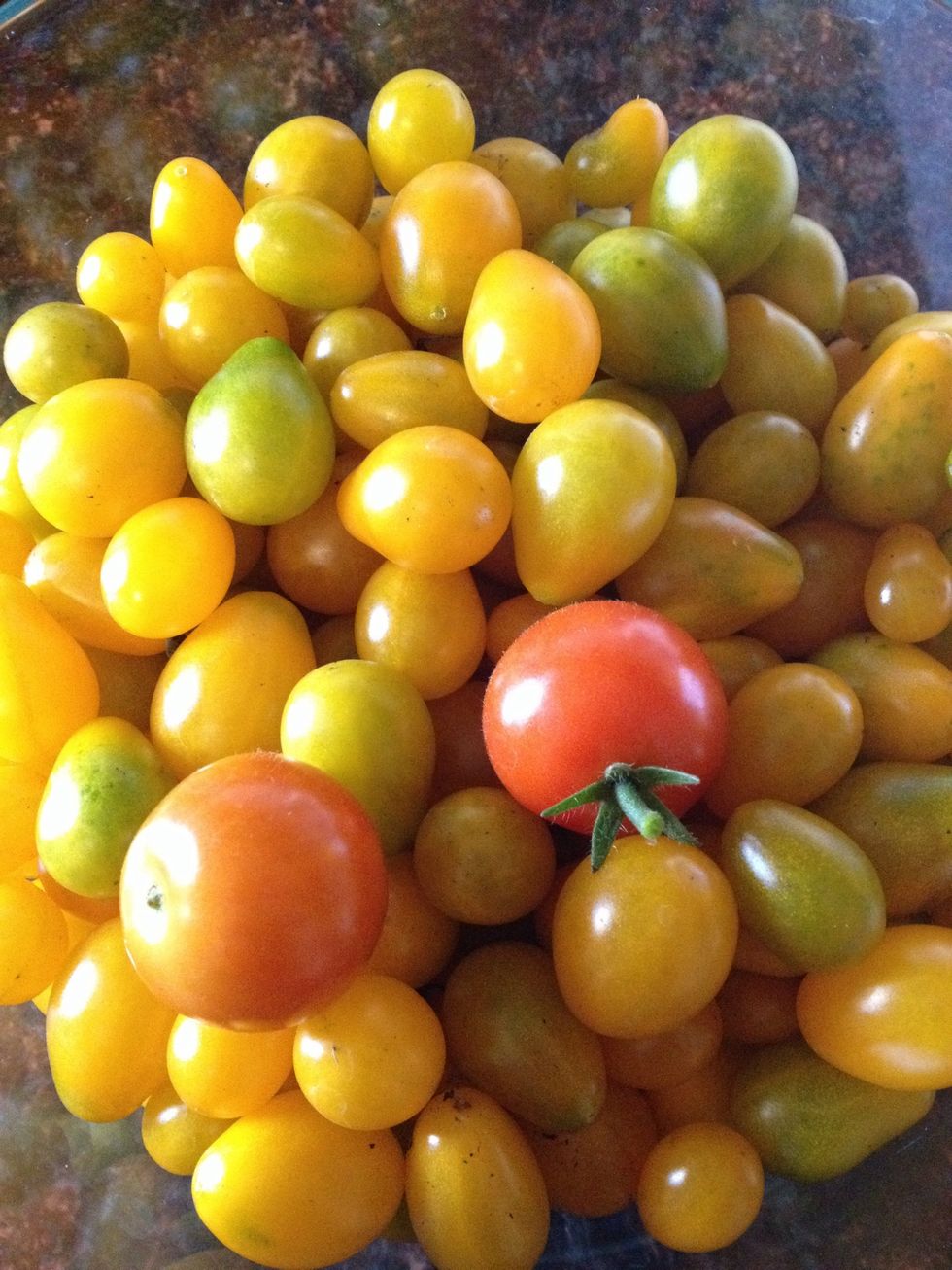 These tomatoes are from my garden.  They're easy to grow and i always have a surplus