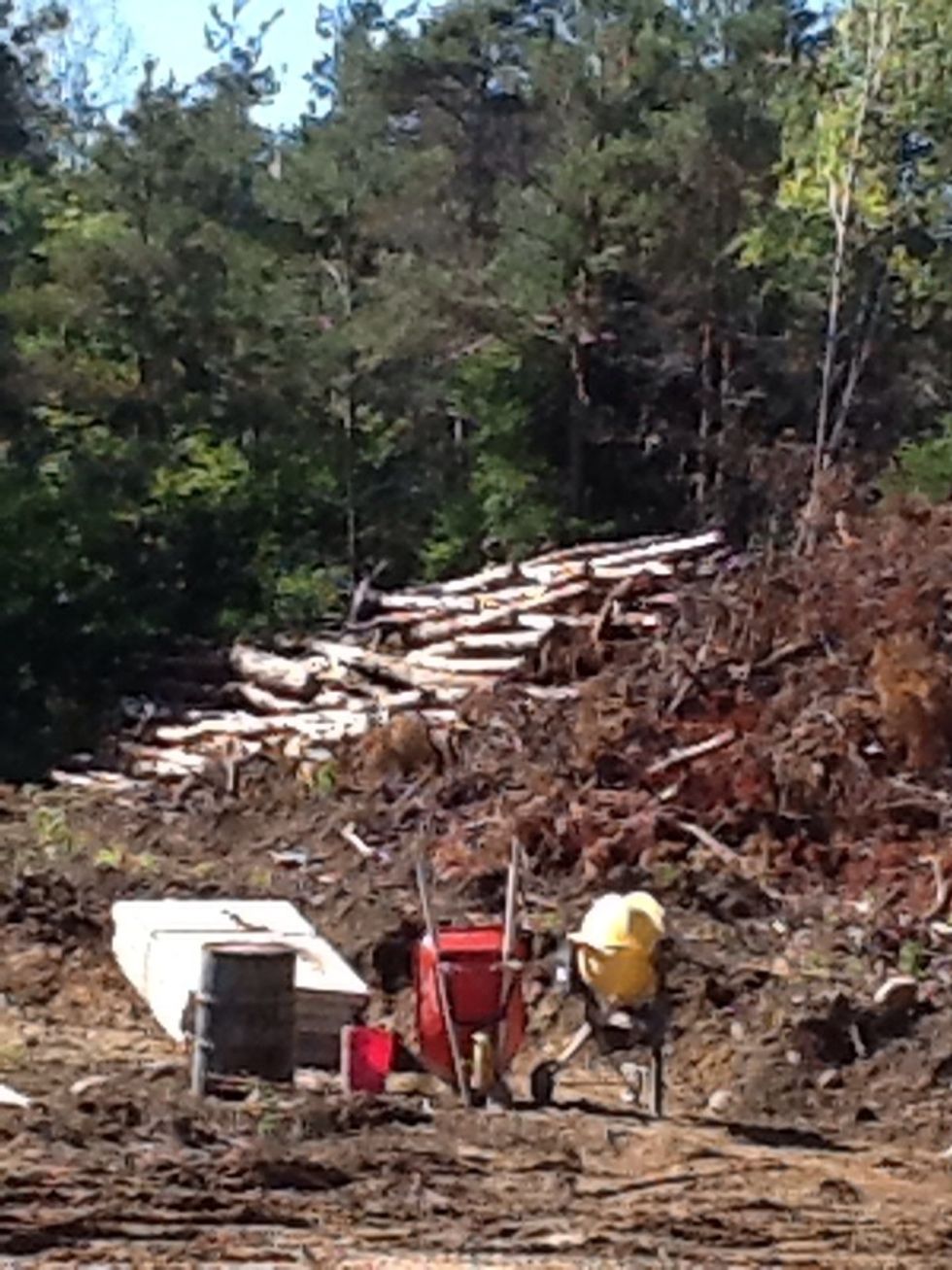 These trees will most likely get used for fire wood