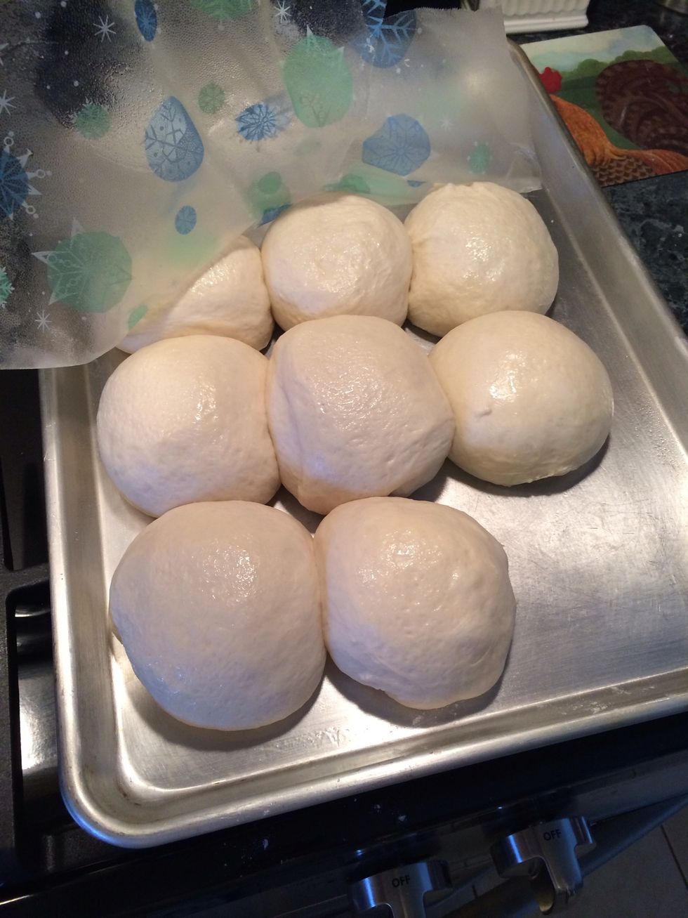 They dough balls have doubled in size. Time to rock and roll..heehee. when you are ready to roll take one of the balls and deflate it.