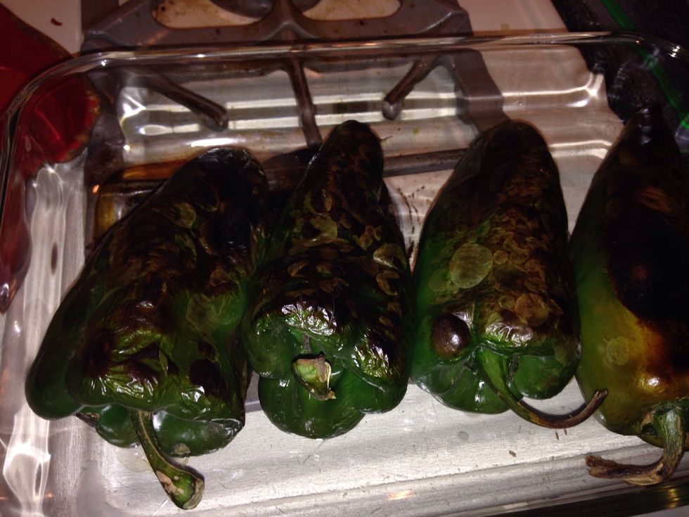 They should look like this.