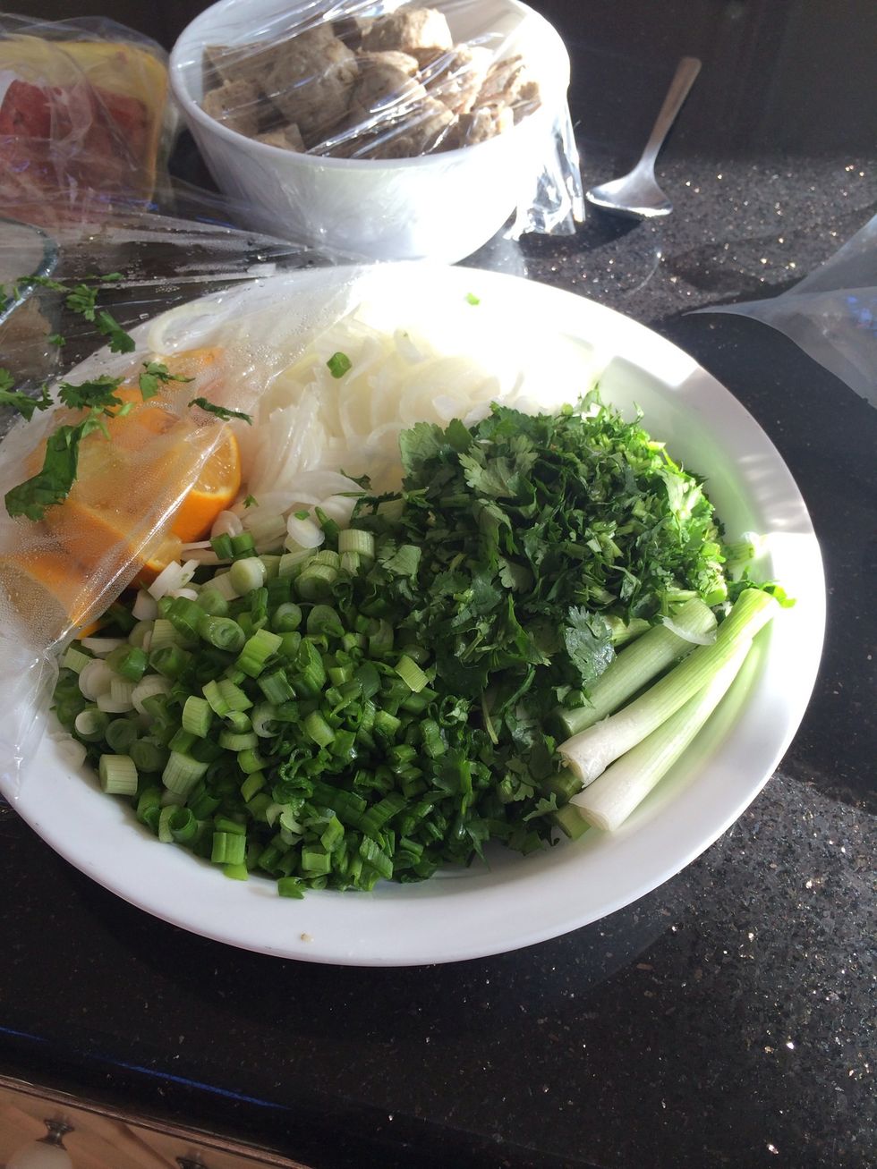 Thin slice green onion, cilantro, onion, lemon/lime