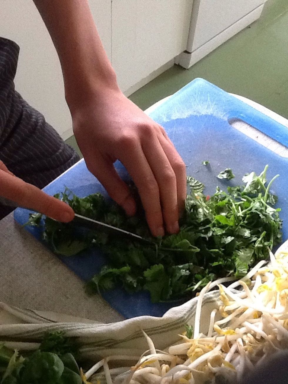 Thinly slice coriander and mint together.