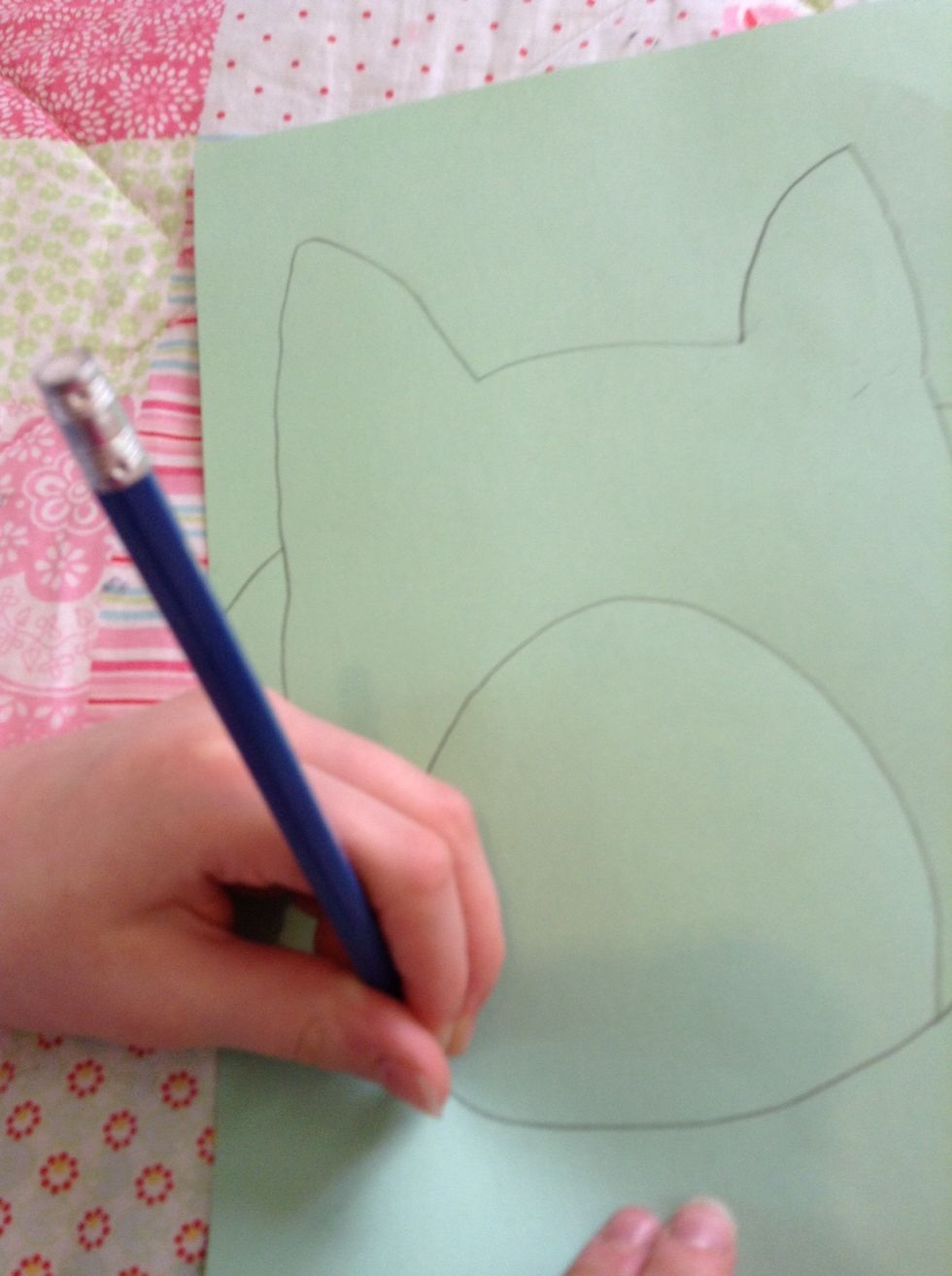 Third: draw the belly.
