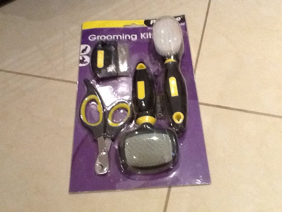 Thirdly you will be needing a Grooming Kit you can brush your guinea pig, cut its nail and get rid of nits (you do not have to get this itam but if you can you should get it).