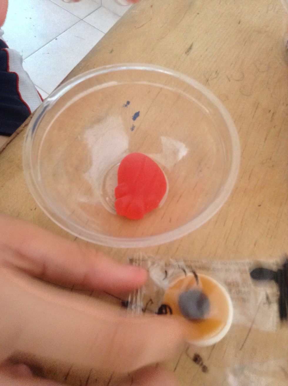 This containers have a circular cap so you will put there the gummies