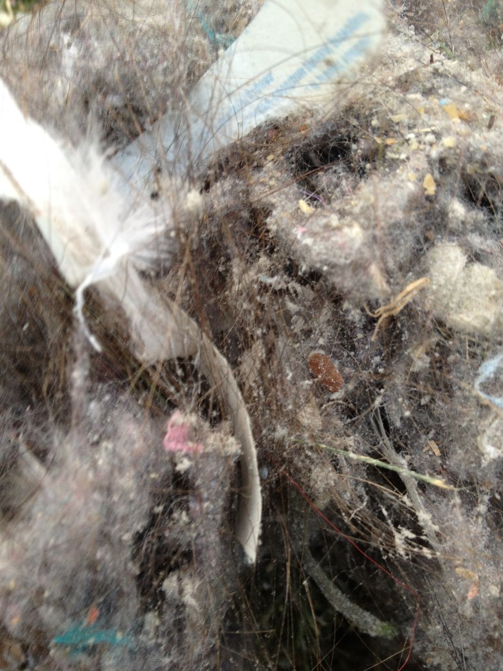 This heinous scene is what was trapped up in the cylindrical housing and the cyclone factory.