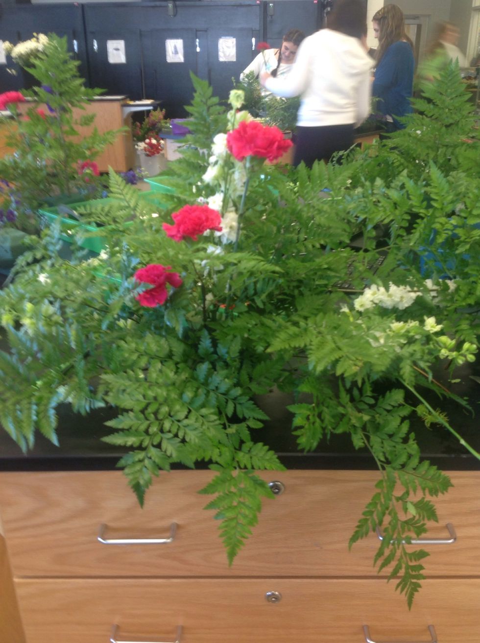This is a bad picture but you would make steps with the standard carnations going left to right tallest to smallest