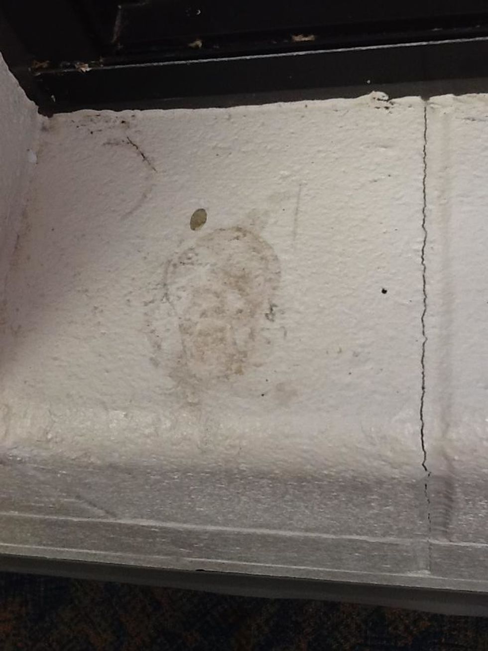 This is a brick in front of the window which represents a square.