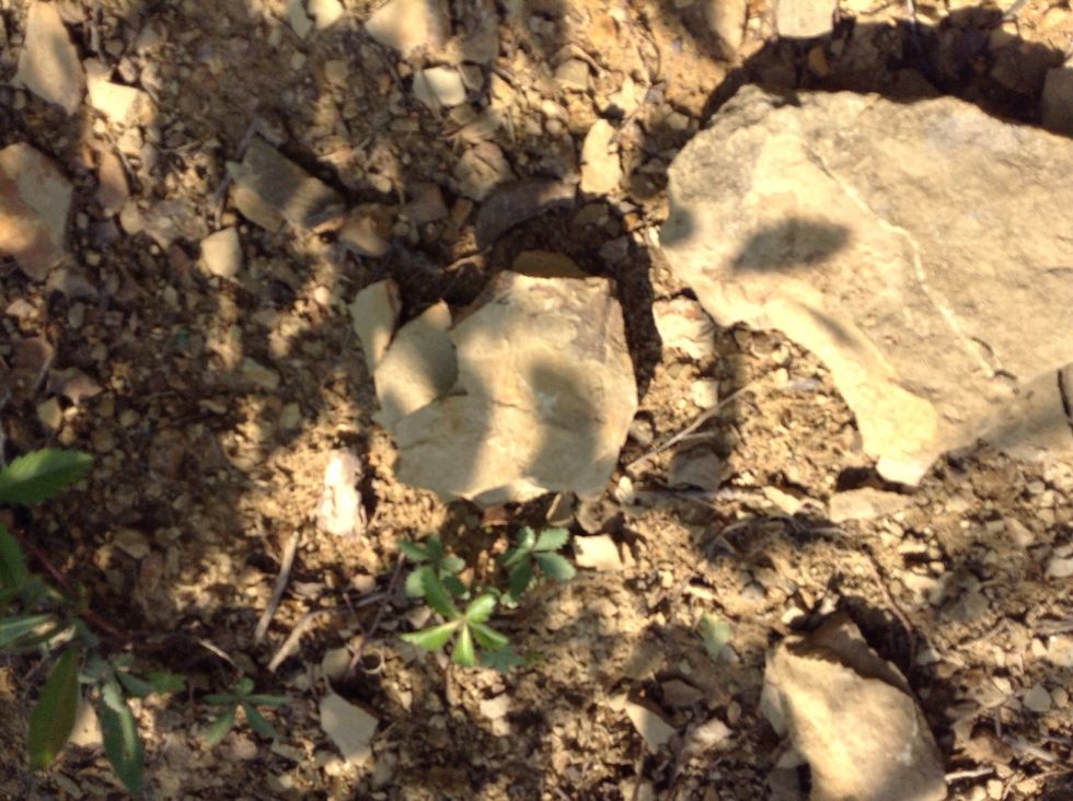 This is a broken rock. Something must have landed on this rock and broke it