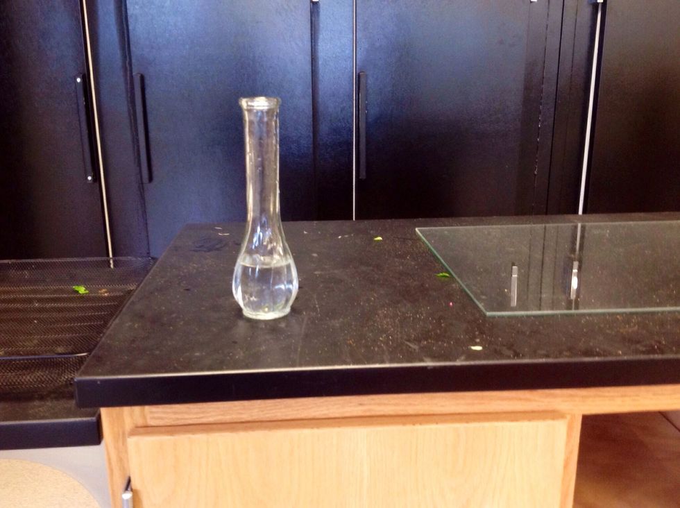 This is a clear glass vase that the mums, carnations, gip, and leather leaf will go in. As seen in the picture, the vase should be filled to the bottom of the neck (about 2" from bottom of vase)